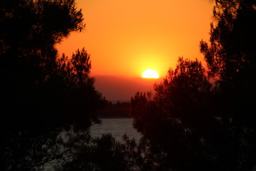 Fototapete bei efototapeten.de bestellen   