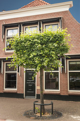 Baum vor Haus in den Niederlanden