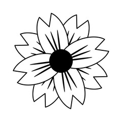 cartoon flower in black and white line icon image