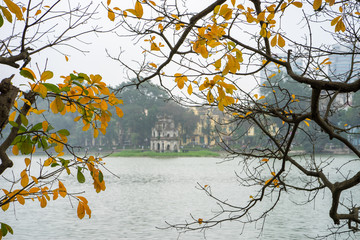 Branches of yellow leaves with Turtle Tower (Thap Rua) on background at Ho Guom lake, center of Hanoi