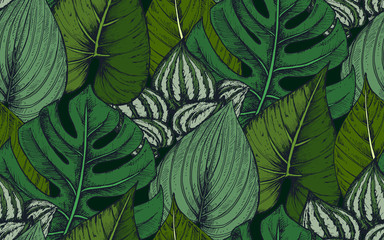 Naklejki  Wektor wzór z kompozycjami ręcznie rysowane rośliny tropikalne