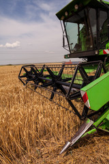 Fototapeta premium Combine harvester agriculture machine harvesting golden ripe wheat field