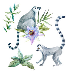 Watercolor lemurs with flowers © zenina
