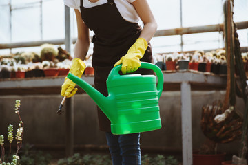 Lady standing in greenhouse near plants with hand-pouring pot.