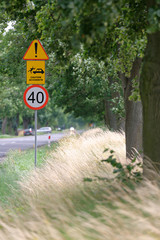 Dangerous road and warning sign with caution accidents description