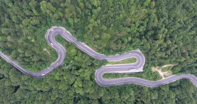 Aerial view of a winding road trough the forest