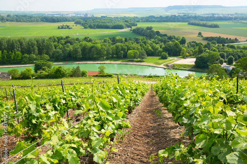Parc Naturel Régional De La Montagne De Reims In Champagne