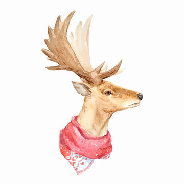 Watercolor deer vector portrait