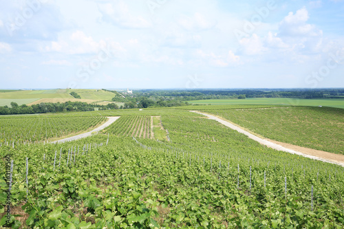Parc Naturel Régional De La Montagne De Reims In Champagne
