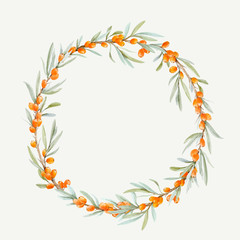 Watercolor vector sea buckthorn