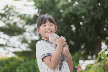 Beautiful Asian girl holding Lovely  kitten with sunshine in the park