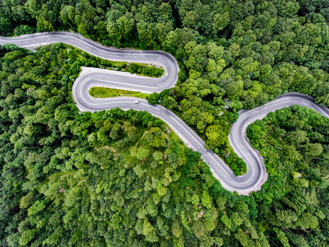 Curved winding road trough the forest aerial view