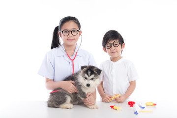 Asian children playing veterinarian with siberian husky puppy
