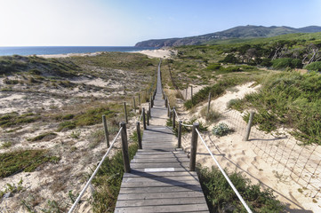 Wooden path through sand dunes to beach in Guincho, Portugal