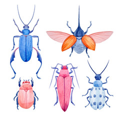 Watercolor beetle vector set