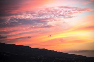 Obraz premium ambiance tropicale 