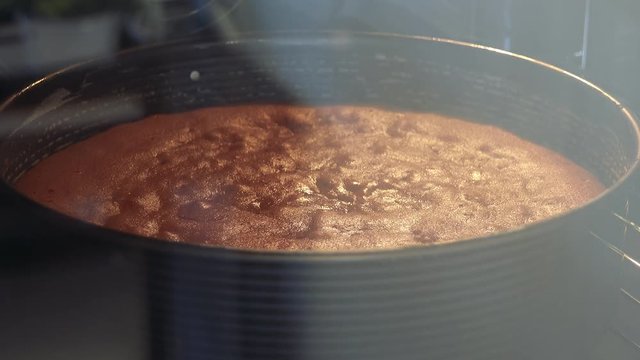 Closeup of batter in a form rising in an oven - fast-motion