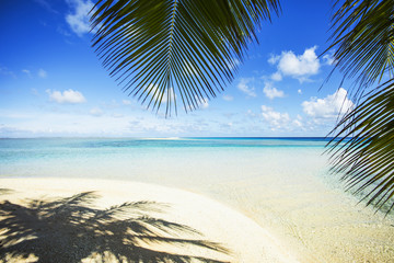 plage paradisiaque à tahiti en polynésie