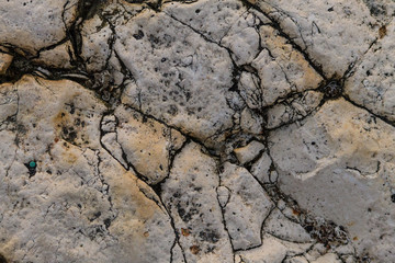 Rocks