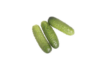 Fresh cucumber.