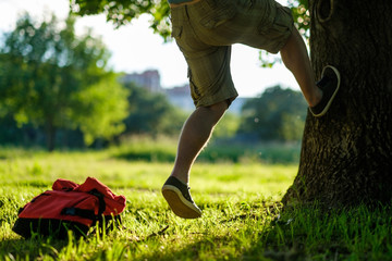 Young hipster man climbing on a tree in a park