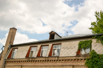 metal roof with skylights and chimney and Loft