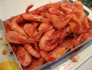 Fish, salmon, steak, pepper, onion, chili, plate, sliced, vegetables, decoration, dish, tasty, delicious, breakfast, lunch, red, green, white, beautiful, grilled, fried, cucumber, mint, basil, Knife, 