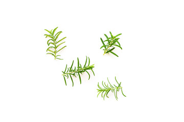 Naklejka premium Fresh branches with leaves of organic rosemary seen from above isolated on a white background