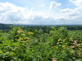 Naklejka premium field