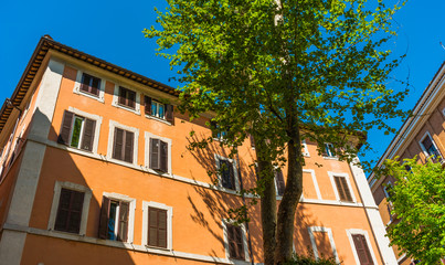 beautiful orange buildings with green tree at rome, italy