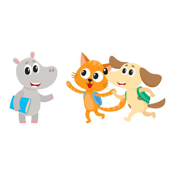 Cute animal student characters, hippo meeting cat and dog hurrying to school, cartoon vector illustration isolated on white background. Little animal student characters, back to school concept