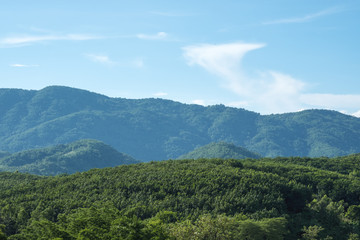Green nature and mountain view with blue sky background