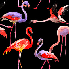 Sky bird flamingo pattern in a wildlife by watercolor style. Wild freedom, bird with a flying wings. Aquarelle bird for background, texture, pattern, frame, border or tattoo.