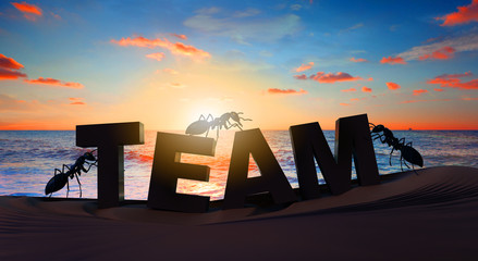 3D rendering; Ants; team building
