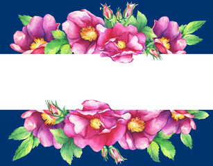 Banner with flowering pink roses (names: dog rose, rosa canina, Japanese rose, Rosa rugosa, sweet briar, eglantine), isolated on dark blue background. Watercolor hand drawn painting illustration.
