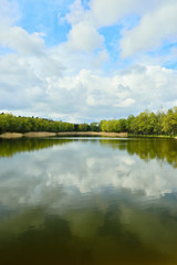 Fototapeta na wymiar Jezioro i las na tle zachmurzonego nieba