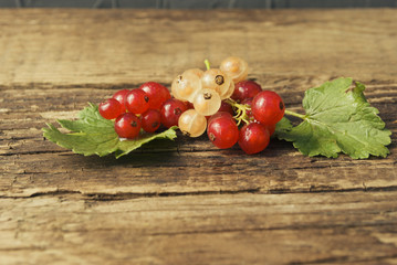 Red currant berries on a wooden background