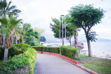 embankment with park
