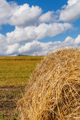 straw stack in the background of the harvested fields and bright cloudy sky