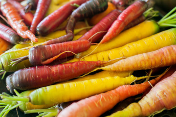 Organic multi-colored heirloom carrots