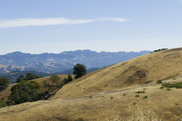 Naklejka premium Pepperwood Preserve is a 3117 acre conservation area and nature preserve.