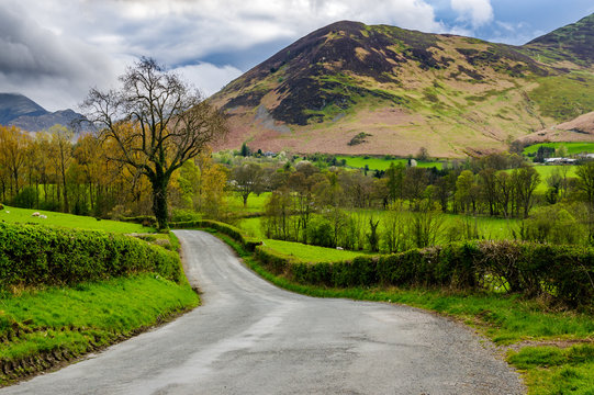 Country lane in Lake District
