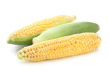 Raw sweet corn detail