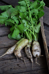 Organic white radish daikon on a wooden background. Healthy food. Top view