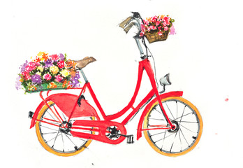 Red retro bicycle with flowers in basket on white background, watercolor hand drawn on paper for home decorate