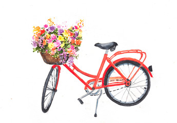 Red retro bicycle with flowers in basket on white background, watercolor hand drawn on paper for home decorate