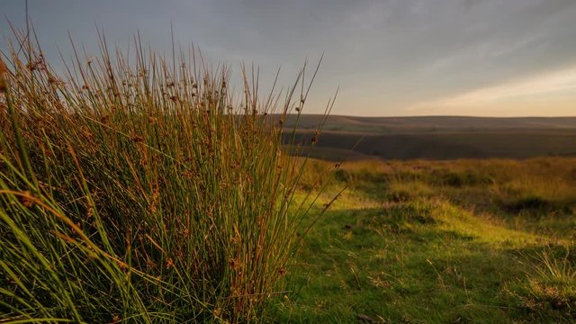 timelapse during early morning of the rolling wild hills of Exmoor, devon, uk