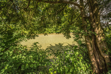 Almuferweg Lederau Ranklleiten