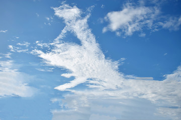 Clouds sky for background