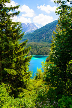 Zugspitzblick mit Plansee